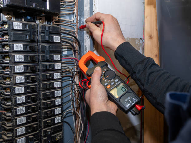 Best Electrical System Inspection  in Lovejoy, GA
